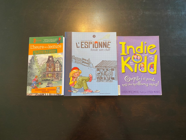 Livres enfants romans jeunesse dans Livres jeunesse et ados  à Ville de Québec