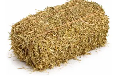 We are in need of at least 4 small square straw bales, must be close to Valleyview. Text me at 780-5...