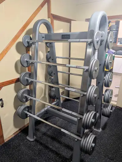 York Barbell Rack with 14 barbell and 550 lb plates , View more