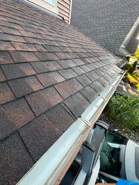 Spring Clean Your Gutters Today!