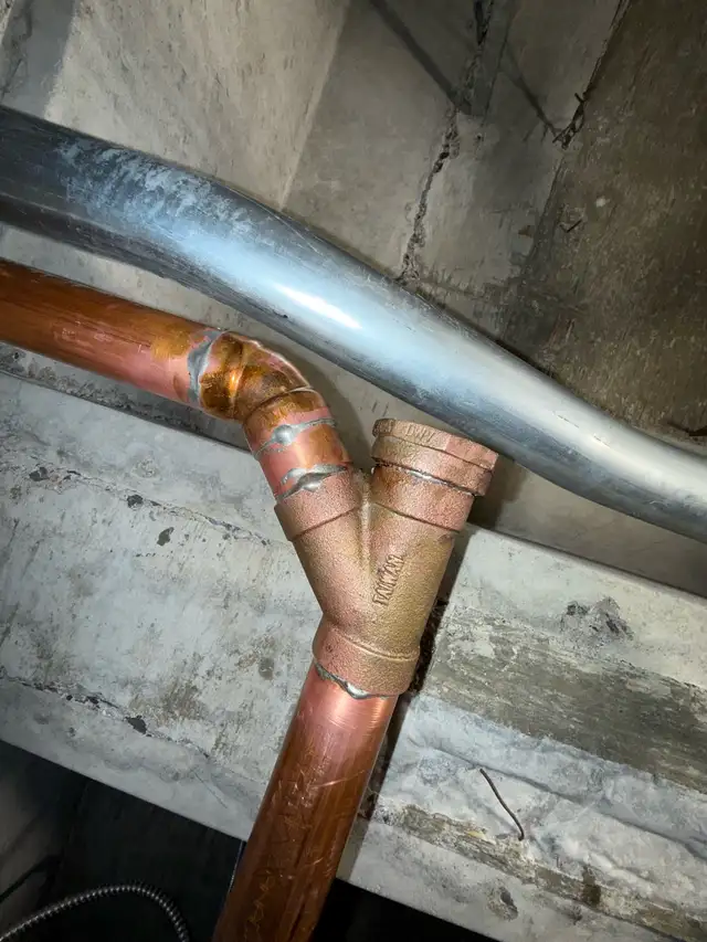 Licensed Plumber 453872246619514882