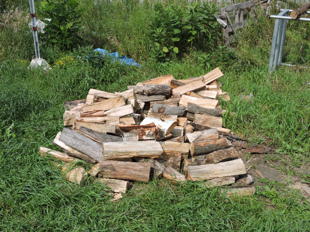 Bûches bois franc chauffage foyer 100 % bois dur dans Foyers & bois de Chauffage  à Laval/Rive Nord - Image 2