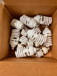 Box of light bulbs 