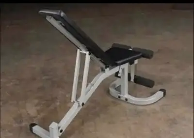 home gym weight lifting dumbbell barbell olympic plates bumpers powerblock iron master bowflex 1090...