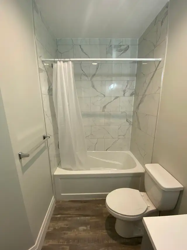 One bedroom totally updated apartment in heritage building