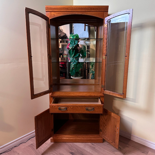 Vintage Oak Palliser Display Cabinet with Light in Hutches & Display Cabinets in City of Toronto - Image 3