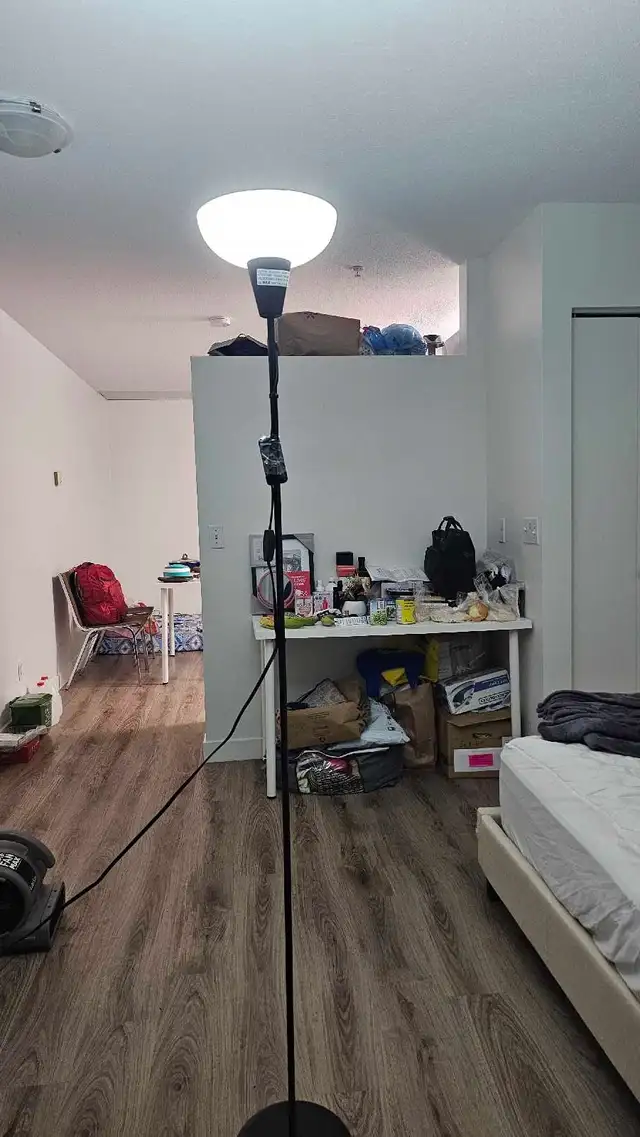 Floor Lamp508096660154634242