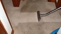 Stain & Odor Removal - Restore Your Carpets SAME DAY