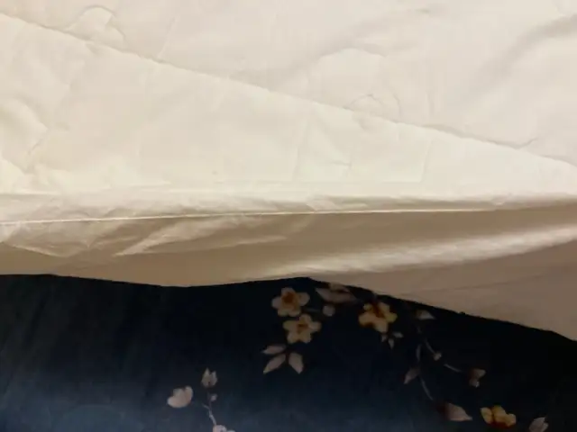 queen size duvet in Bedding in Kingston - Image 3