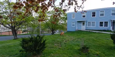 Large Bright 2 Bedroom Apt on Peninsula Dog Friendly
