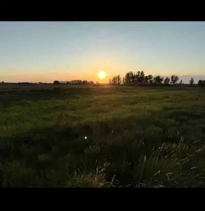 2.37 acres in southern Alberta’s County of Newell. Build your dream home, hunting cabin, park your R...