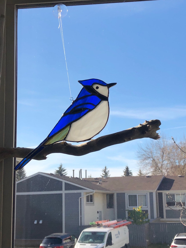 Blue Jay, Stained Glass Art in Arts & Collectibles in Edmonton