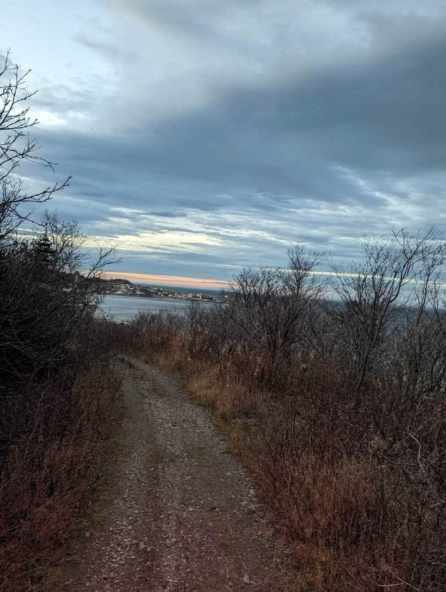 Magnifique terrain avec vue sur la mer dans Terrains à vendre  à Gaspésie - Image 2