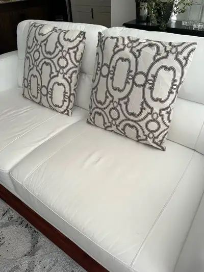 Two Decorative Cushions, View more
