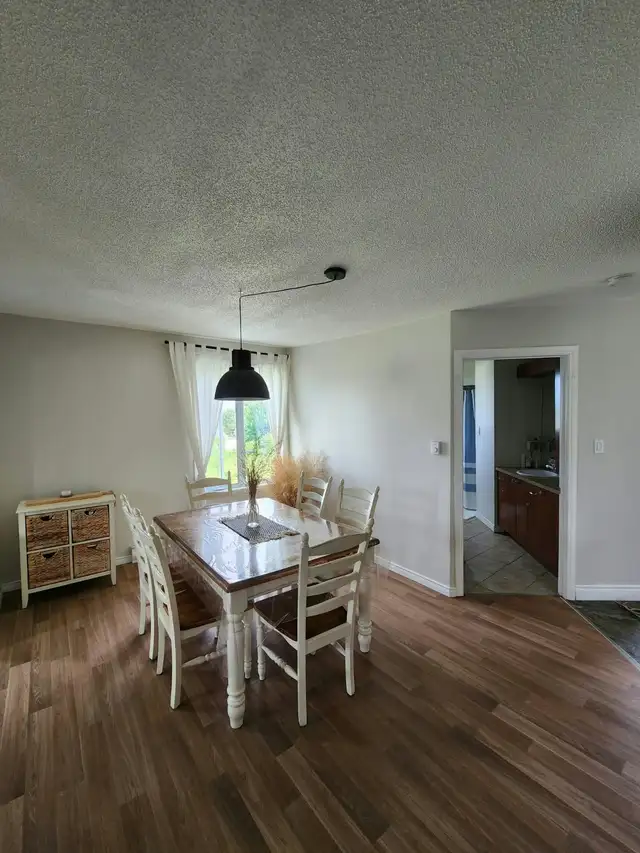 Grand 4 1/2 lumineux in Long Term Rentals in Thetford Mines - Image 3