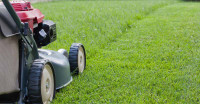 Lawn mowing services