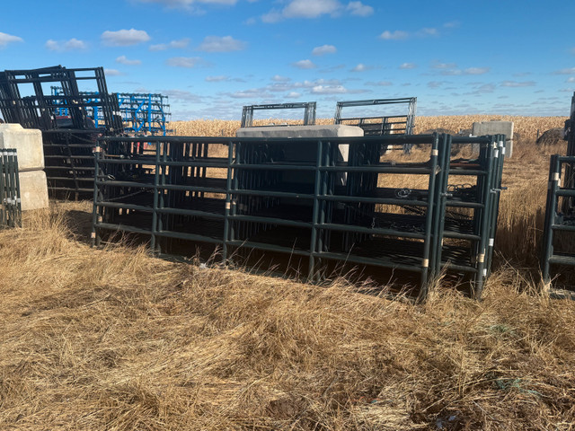 Corral Gates and Panels in Farming Equipment in Red Deer - Image 2