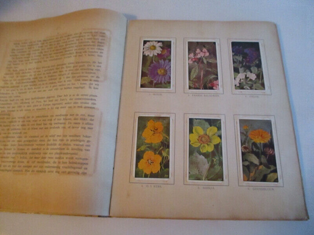 HERFST-JAC. P. THIJSSE-1908 DUTCH STICKER ALBUM-PLANTS-INSECTS+ dans Art et objets de collection  à Laval/Rive Nord - Image 3