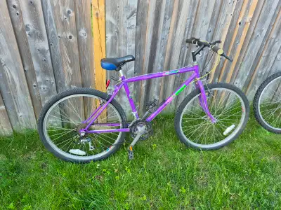 McKinley Expedition mountain bicycle (18" frame), View more