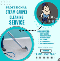 Professional, Insured Cleaning Services (DISCOUNTS AVAILABLE)