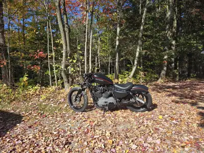 Entretenue avec soin. -Peinture powder coat noir -Exhaust Rinehart fast track -Batterie neuve Un trè...