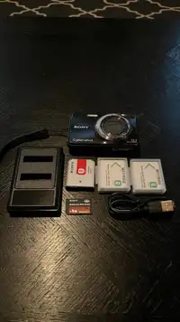 Sony Cyber-shot DSC-W290 12.1MP Digital Camera - Black