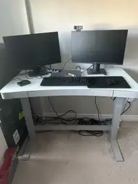 Sit Stand Adjustable Desk
