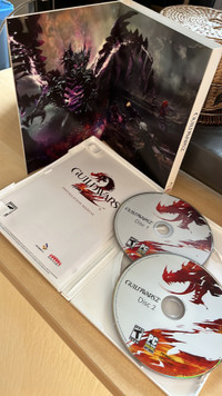 Jeu Guild War 2 PC Games