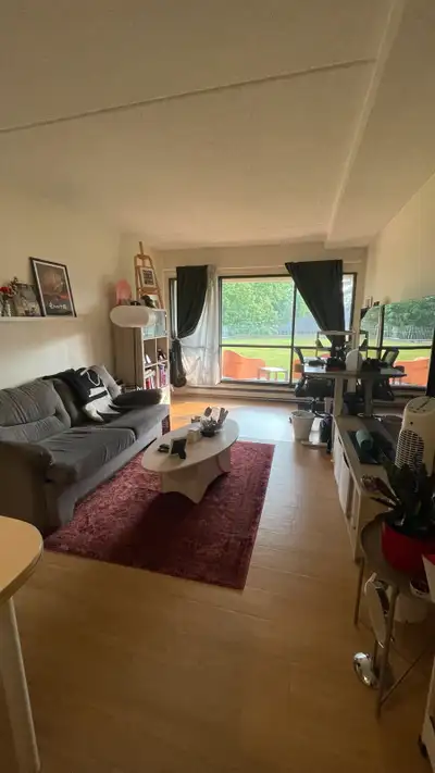 Magnifique 3.1/2 à Montcalm