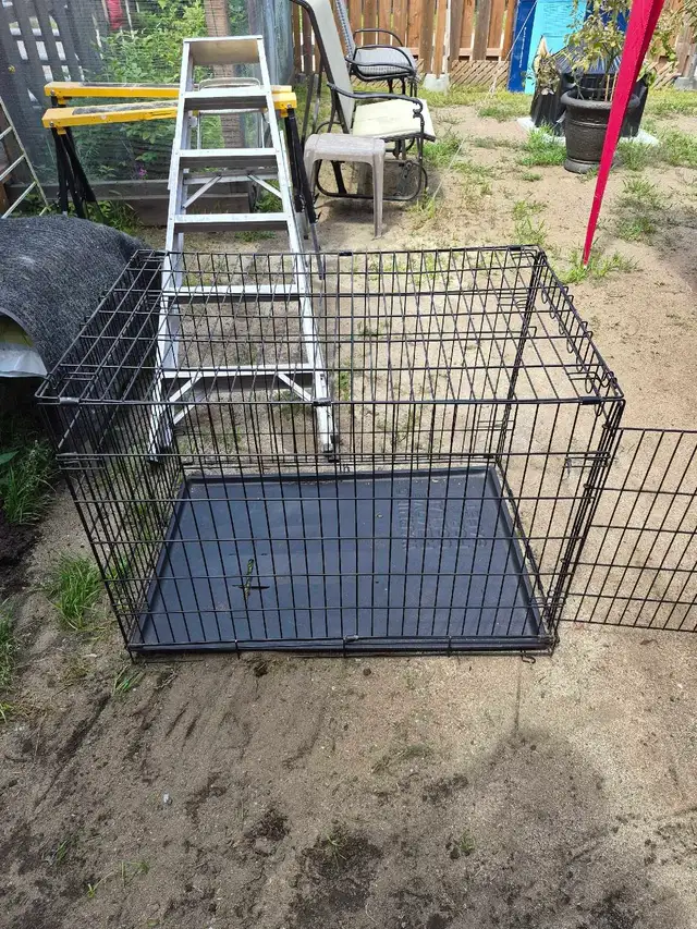Large Dog Cage