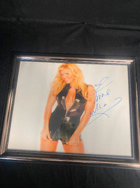 Torrie Wilson Autograph WWE Star