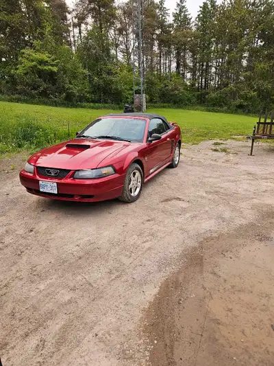 2003 mustang v6 3.8l 106032 km original New tires New shocks New fuel pump New exhaust from single t...