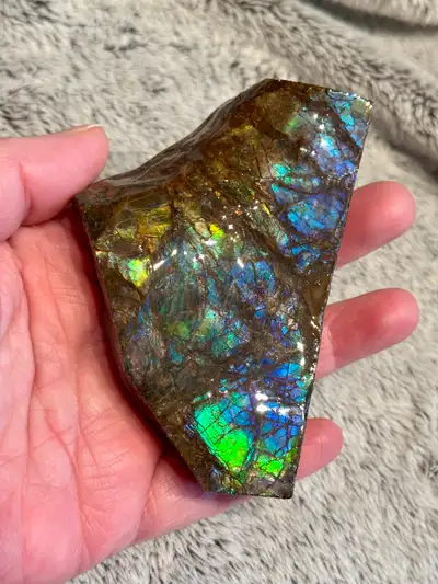 Ammolite gemstone fossils, View more