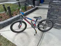 Kids Cube 20” bike