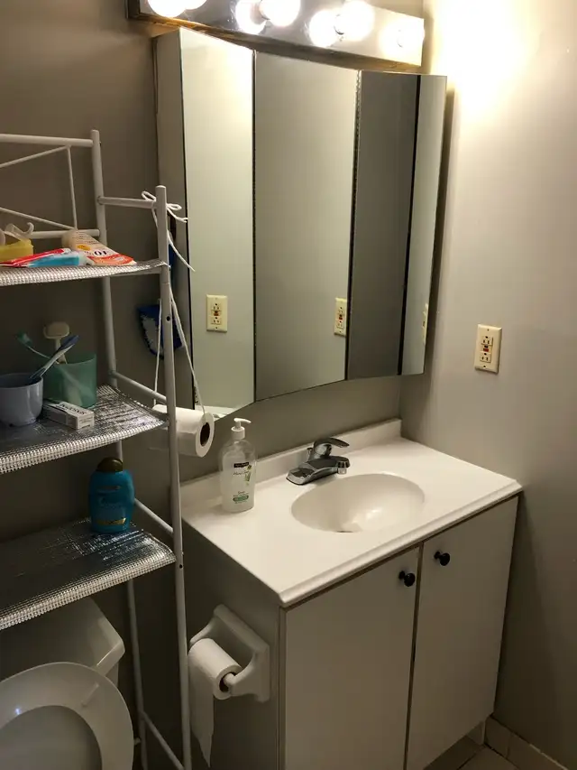 Room for rent-near UTSC and centennial college morningside in Room Rentals & Roommates in City of Toronto - Image 7