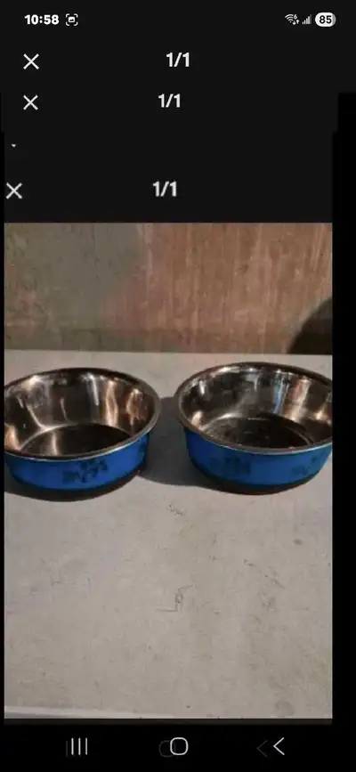 Dog dish bowls, View more