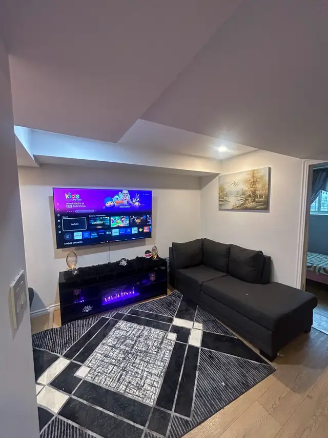 Wall-Mounted TV Installation / TV Wall Mount Installation501748756687114241