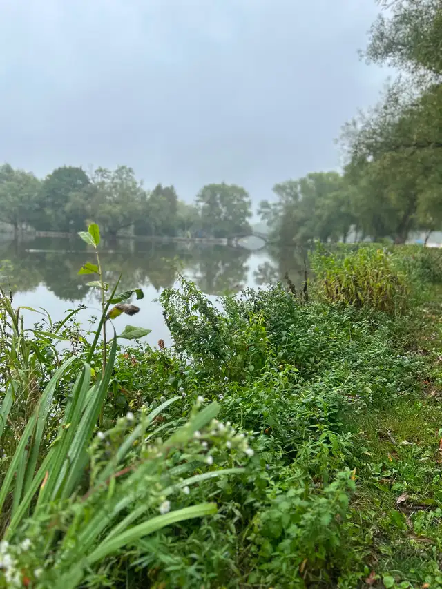 Midsummer Forest Immersion Experience – Stratford, Ontario548862839122841604
