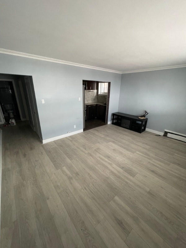 Downtown Apartments for Rent Starting at 1200/month Long Term Rentals