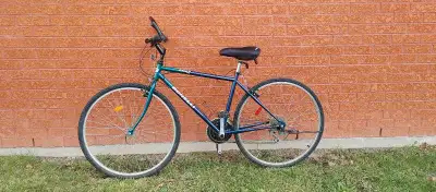 Vélo grandeur medium en bonne condition. Ajusté. Le banc en mousse n'est pas disponible. Le siège es...