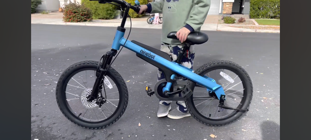 Segway 18" bike (blue)