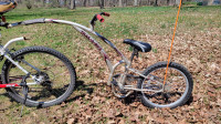 Adams Trail A Bike