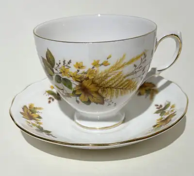 Queen Anne Bone China teacup (A 96 A) and saucer(F96 6) with autumnal decor on a white background wi...