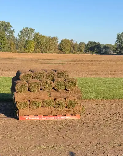 SOD SEASON 2026 IS OPEN, View more
