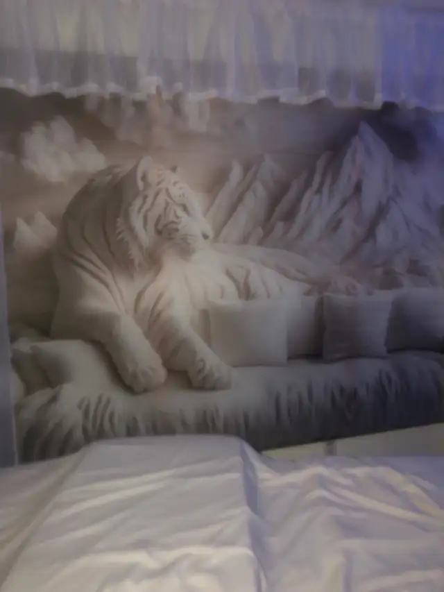 ⭐️⭐️⭐️Save Save Save Massage ⭐️⭐️⭐️64628635784451120