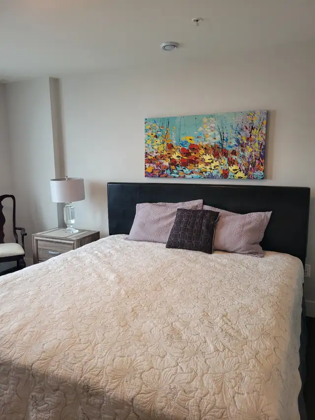 FEB1ST SHARE A SUITE HAVE YOUR OWN BDRM/BATH