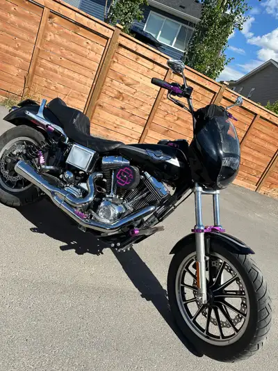 Immaculate shape dyna with a stunt Aestetic *never been stunted* just liked the look 20 miles (30) k...