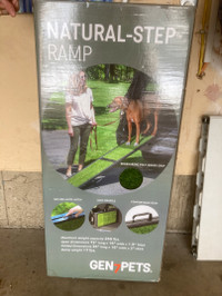 Dog – Ramp