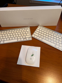 Apple keyboard and Mouse 