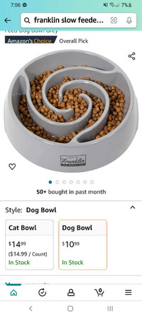 Slow feeder dog bowl 